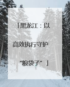 黑龙江：以高效执行守护“粮袋子”