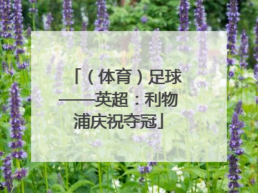 （体育）足球——英超：利物浦庆祝夺冠