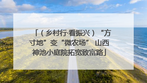 （乡村行·看振兴）“方寸地”变“微农场” 山西神池小庭院拓宽致富路