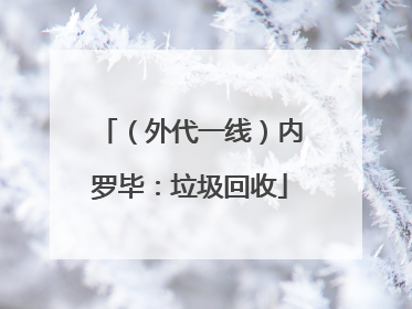 （外代一线）内罗毕：垃圾回收