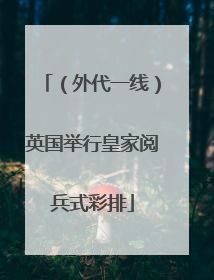 （外代一线）英国举行皇家阅兵式彩排