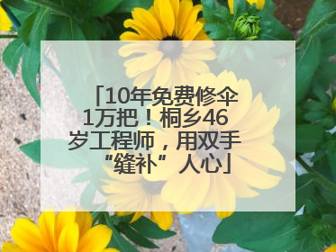 10年免费修伞1万把！桐乡46岁工程师，用双手“缝补”人心
