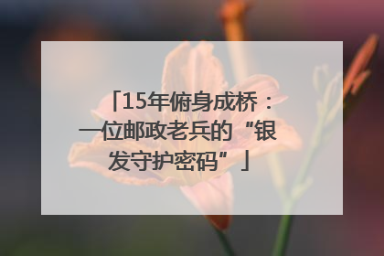 15年俯身成桥：一位邮政老兵的“银发守护密码”