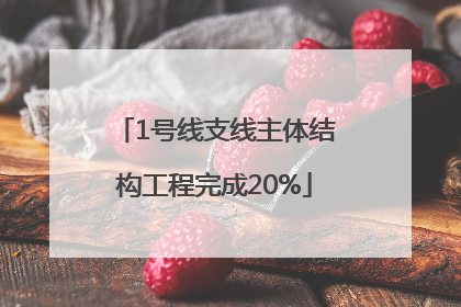 1号线支线主体结构工程完成20%