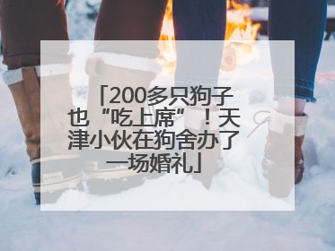 200多只狗子也“吃上席”！天津小伙在狗舍办了一场婚礼
