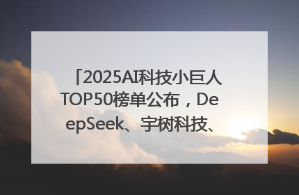 2025AI科技小巨人TOP50榜单公布，DeepSeek、宇树科技、蘑菇车联等企业荣誉上榜