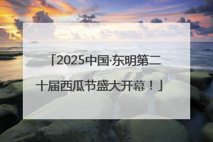 2025中国·东明第二十届西瓜节盛大开幕！