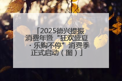 2025德兴提振消费年暨“狂欢盛夏・乐购不停”消费季正式启动（图）