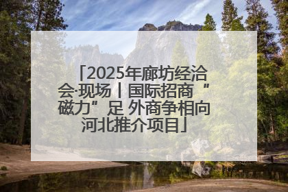 2025年廊坊经洽会·现场丨国际招商“磁力”足 外商争相向河北推介项目