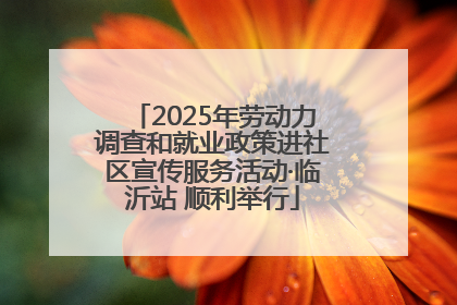 2025年劳动力调查和就业政策进社区宣传服务活动·临沂站 顺利举行
