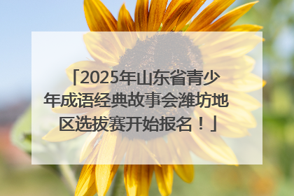 2025年山东省青少年成语经典故事会潍坊地区选拔赛开始报名！