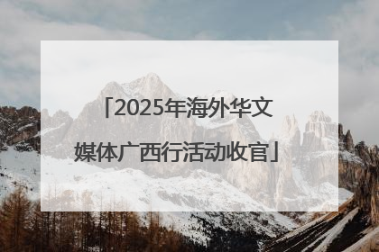 2025年海外华文媒体广西行活动收官