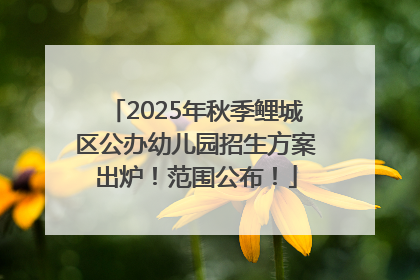 2025年秋季鲤城区公办幼儿园招生方案出炉！范围公布！
