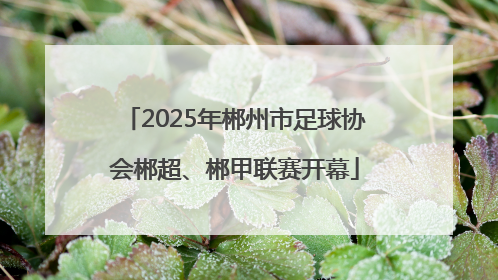2025年郴州市足球协会郴超、郴甲联赛开幕