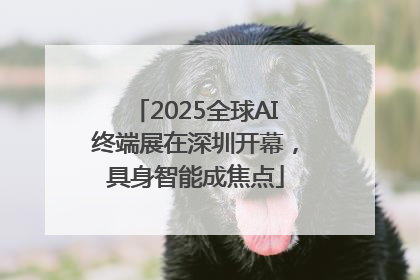 2025全球AI终端展在深圳开幕，具身智能成焦点