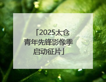 2025太仓青年先锋影像季启动征片
