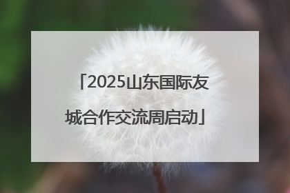2025山东国际友城合作交流周启动