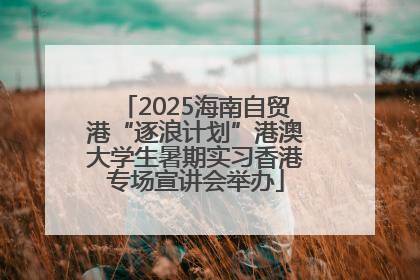 2025海南自贸港“逐浪计划”港澳大学生暑期实习香港专场宣讲会举办