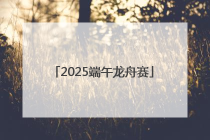2025端午龙舟赛