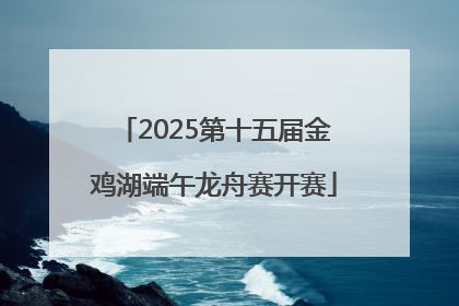 2025第十五届金鸡湖端午龙舟赛开赛