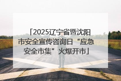 2025辽宁省暨沈阳市安全宣传咨询日“应急安全市集”火爆开市