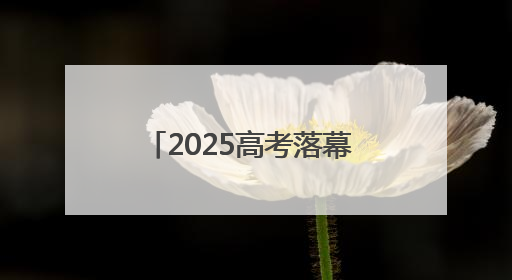 2025高考落幕 “地球村花 金榜题名”海报成“显眼包”