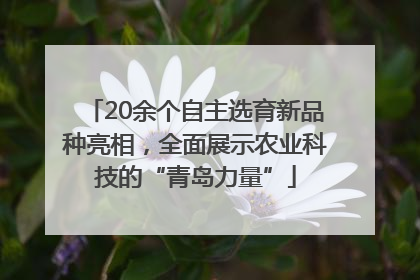 20余个自主选育新品种亮相，全面展示农业科技的“青岛力量”