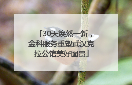 30天焕然一新，金科服务重塑武汉克拉公馆美好图景