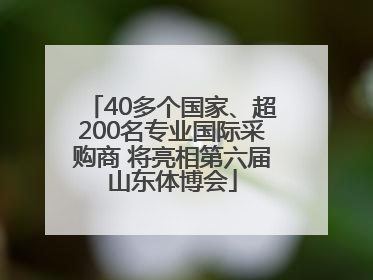 40多个国家、超200名专业国际采购商 将亮相第六届山东体博会