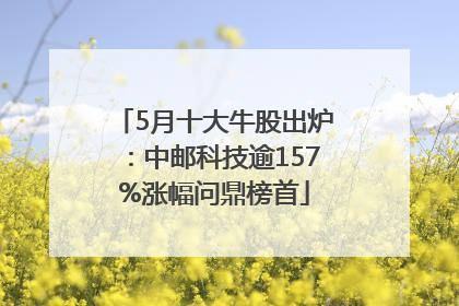 5月十大牛股出炉：中邮科技逾157%涨幅问鼎榜首