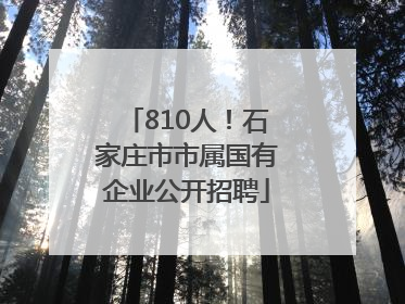810人！石家庄市市属国有企业公开招聘
