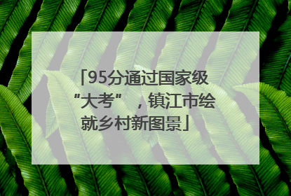 95分通过国家级“大考”，镇江市绘就乡村新图景