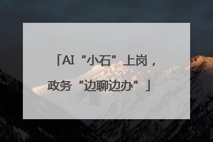 AI“小石”上岗，政务“边聊边办”