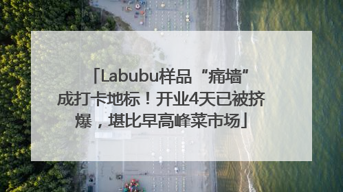Labubu样品“痛墙”成打卡地标！开业4天已被挤爆，堪比早高峰菜市场